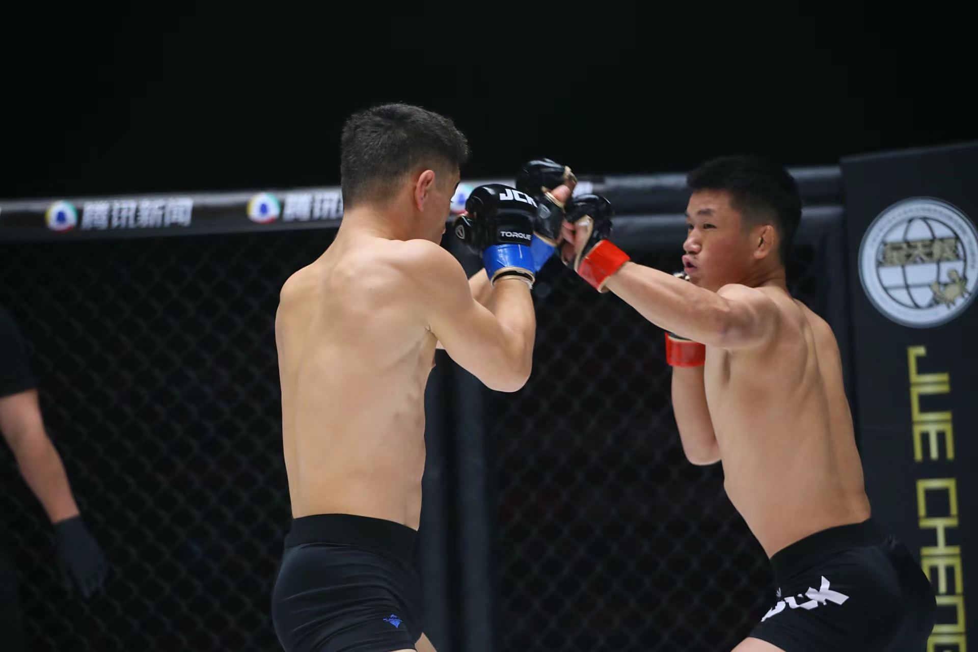 世俱杯奖金-拼搏谱写:运动员们为荣誉而战